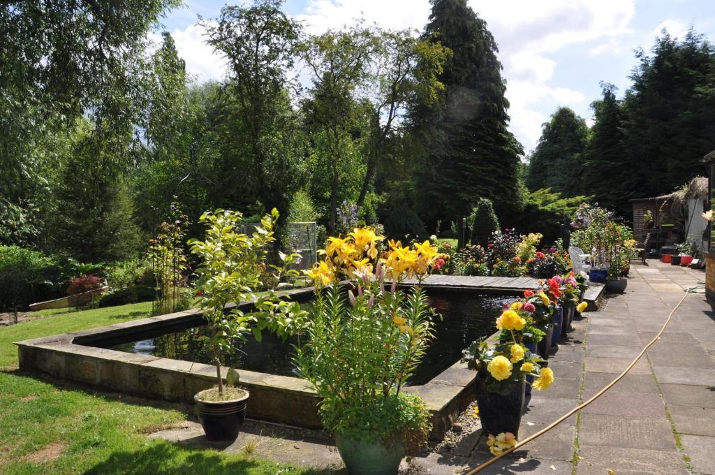 The Willows Bed & Breakfast Йорк Екстериор снимка